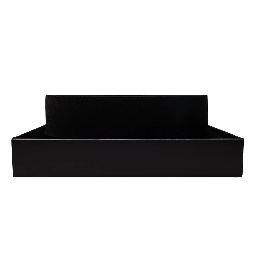 WWE Championship Title Display Stand