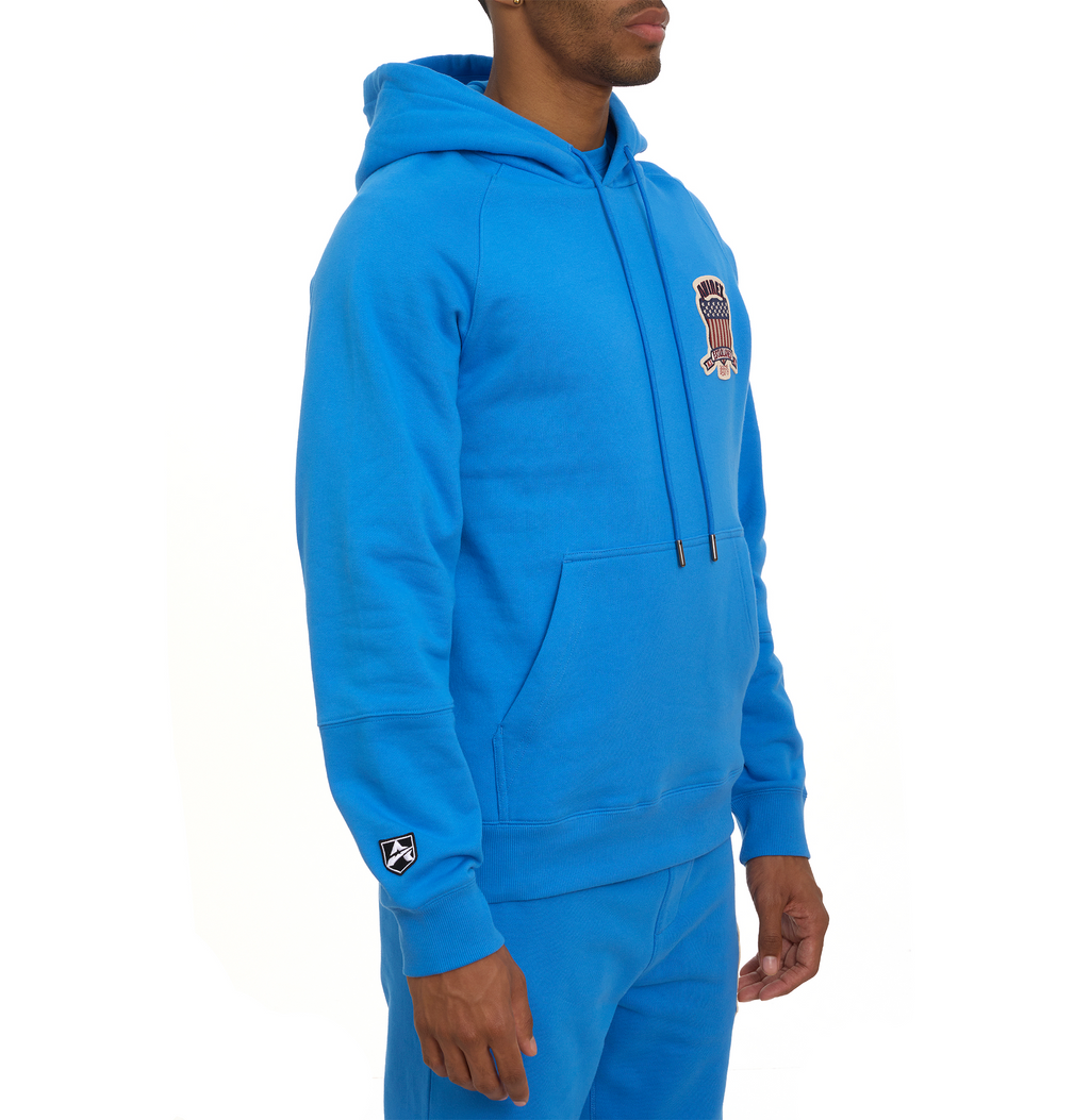 Shop Best Classic Super Sonic Icon Avirex Cotton Fleece Hoodie For Sale