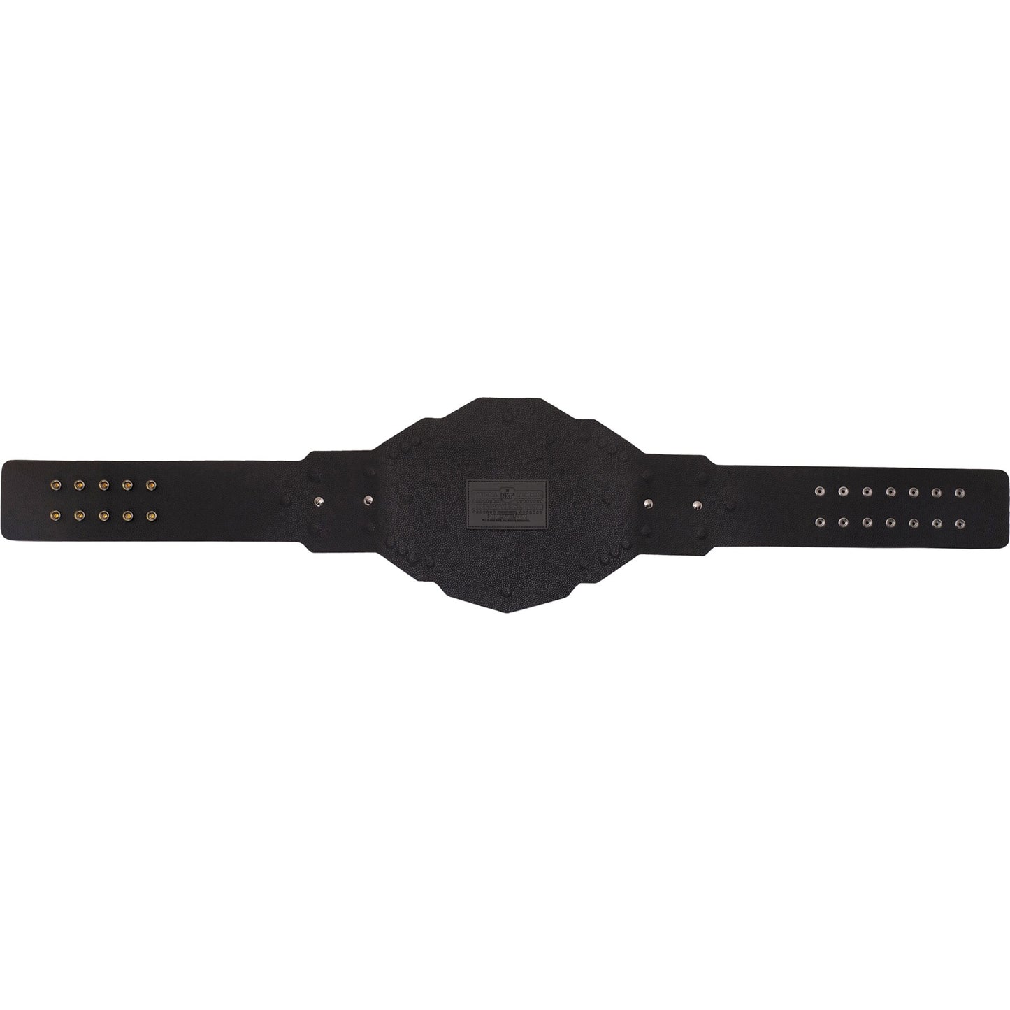 NXT 2.0 Championship Replica Title Belt